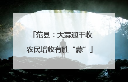 范县：大蒜迎丰收 农民增收有胜“蒜”