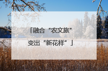 融合“农文旅” 变出“新花样”