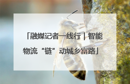 融媒记者一线行｜智能物流“链”动城乡富路