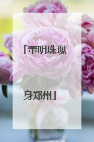 董明珠现身郑州