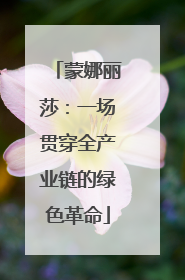 蒙娜丽莎：一场贯穿全产业链的绿色革命
