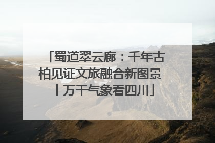 蜀道翠云廊：千年古柏见证文旅融合新图景丨万千气象看四川