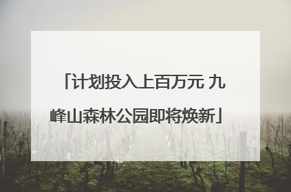 计划投入上百万元 九峰山森林公园即将焕新