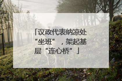 议政代表纳凉处“坐班”，架起基层“连心桥”