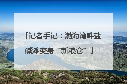 记者手记：渤海湾畔盐碱滩变身“新粮仓”