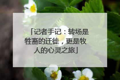记者手记：转场是牲畜的迁徙，更是牧人的心灵之旅