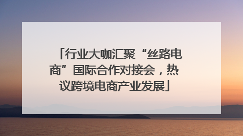 行业大咖汇聚“丝路电商”国际合作对接会，热议跨境电商产业发展