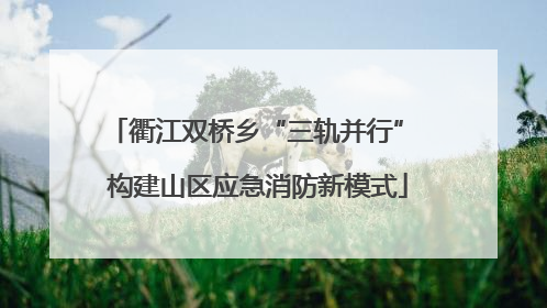 衢江双桥乡“三轨并行” 构建山区应急消防新模式