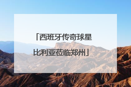 西班牙传奇球星 比利亚莅临郑州