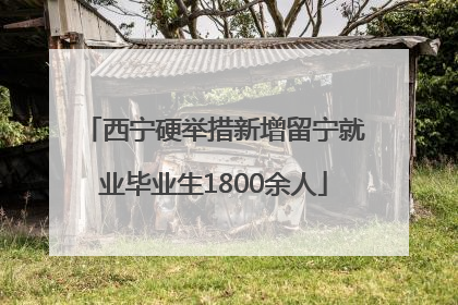 西宁硬举措新增留宁就业毕业生1800余人