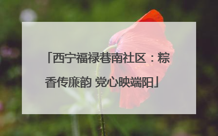 西宁福禄巷南社区：粽香传廉韵 党心映端阳