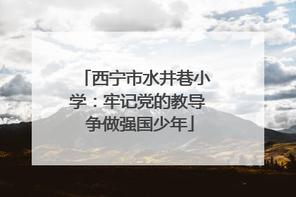 西宁市水井巷小学：牢记党的教导 争做强国少年