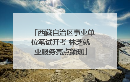 西藏自治区事业单位笔试开考 林芝就业服务亮点频现