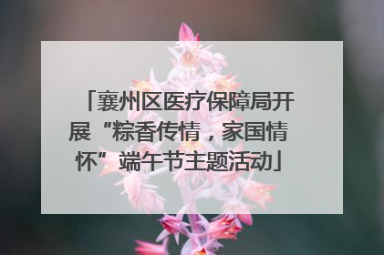 襄州区医疗保障局开展“粽香传情，家国情怀”端午节主题活动