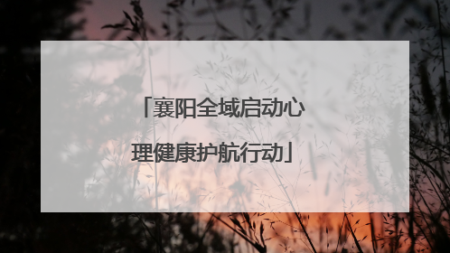 襄阳全域启动心理健康护航行动