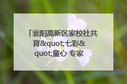 襄阳高新区家校社共育"七彩"童心 专家团支招智慧育儿