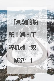 观潮的螃蟹丨湖南工程机械“双城记”