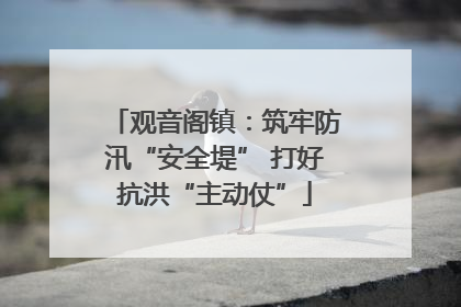 观音阁镇：筑牢防汛“安全堤” 打好抗洪“主动仗”