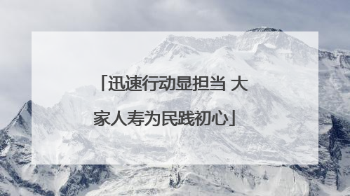 迅速行动显担当 大家人寿为民践初心