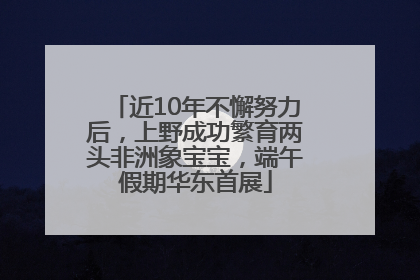 近10年不懈努力后，上野成功繁育两头非洲象宝宝，端午假期华东首展