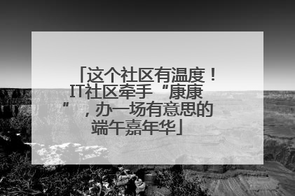 这个社区有温度！IT社区牵手“康康”，办一场有意思的端午嘉年华