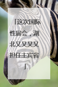 这次国际性展会，湖北又又又又担任主宾省