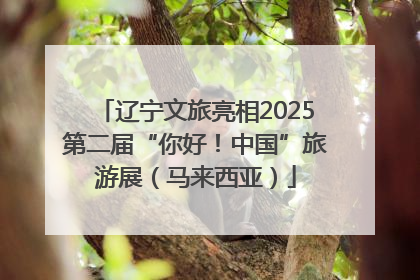 辽宁文旅亮相2025第二届“你好！中国”旅游展（马来西亚）