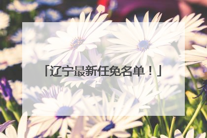 辽宁最新任免名单！