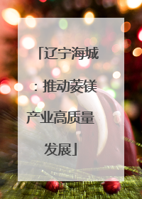 辽宁海城：推动菱镁产业高质量发展