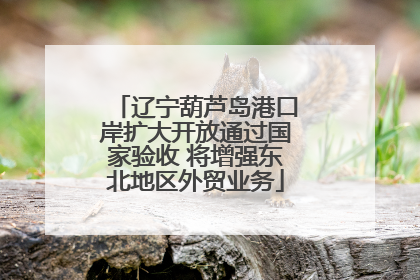 辽宁葫芦岛港口岸扩大开放通过国家验收 将增强东北地区外贸业务