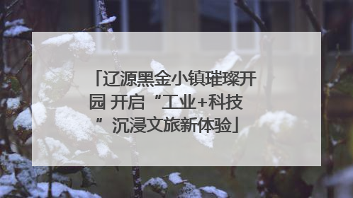 辽源黑金小镇璀璨开园 开启“工业+科技”沉浸文旅新体验