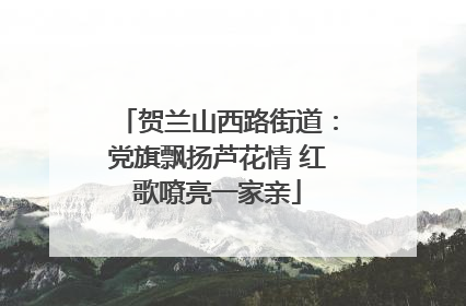 贺兰山西路街道：党旗飘扬芦花情 红歌嘹亮一家亲