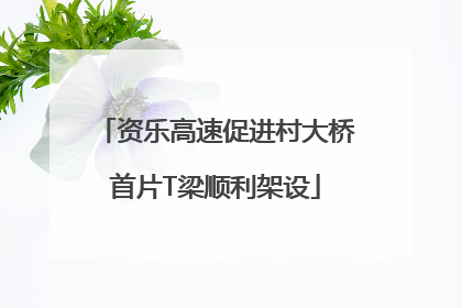 资乐高速促进村大桥首片T梁顺利架设