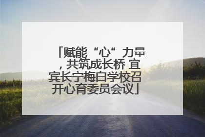 赋能“心”力量，共筑成长桥 宜宾长宁梅白学校召开心育委员会议