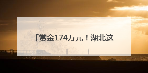 赏金174万元！湖北这对“80后”姐弟被悬赏