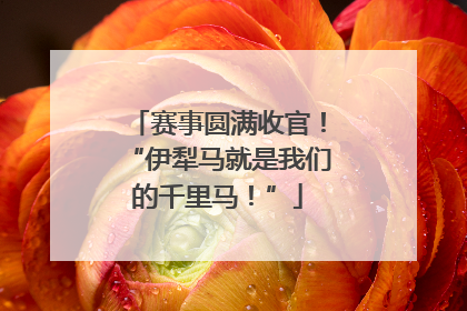 赛事圆满收官！“伊犁马就是我们的千里马！”