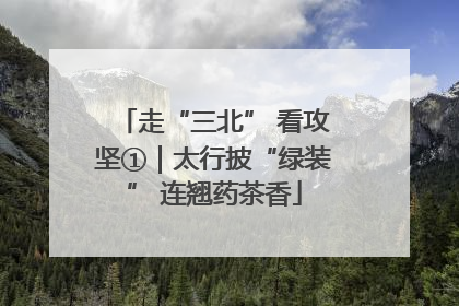 走“三北” 看攻坚①｜太行披“绿装” 连翘药茶香