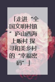 走进“全国文明村镇”庐山西海上畈村 探寻和美乡村的“幸福密码”