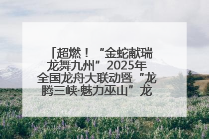 超燃！“金蛇献瑞 龙舞九州”2025年全国龙舟大联动暨“龙腾三峡·魅力巫山”龙舟邀请赛圆满落幕！