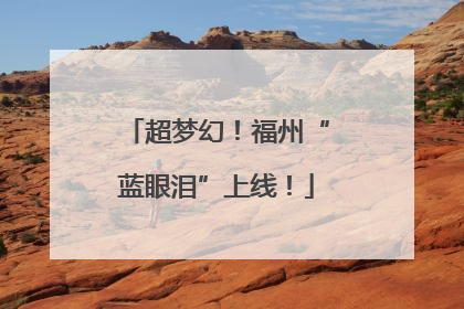 超梦幻！福州“蓝眼泪”上线！