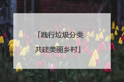 践行垃圾分类 共建美丽乡村