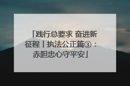 践行总要求 奋进新征程丨执法公正篇③：赤胆忠心守平安