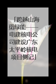 跨越山海觅绿能——电建核电公司建设广东太平岭核电项目侧记