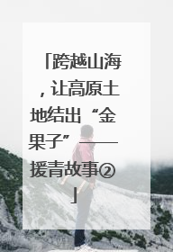 跨越山海，让高原土地结出“金果子”——援青故事②