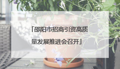 邵阳市招商引资高质量发展推进会召开