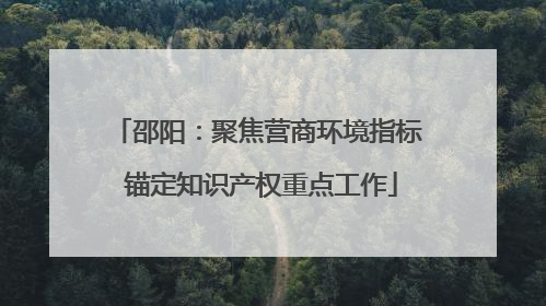 邵阳：聚焦营商环境指标 锚定知识产权重点工作
