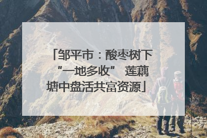 邹平市：酸枣树下“一地多收” 莲藕塘中盘活共富资源
