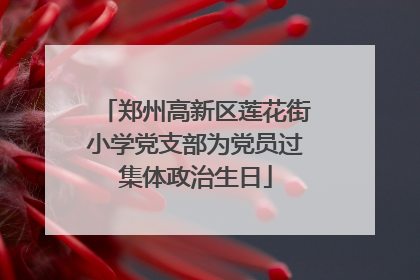 郑州高新区莲花街小学党支部为党员过集体政治生日