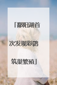 鄱阳湖首次发现彩鹮筑巢繁殖