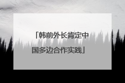 韩前外长肯定中国多边合作实践